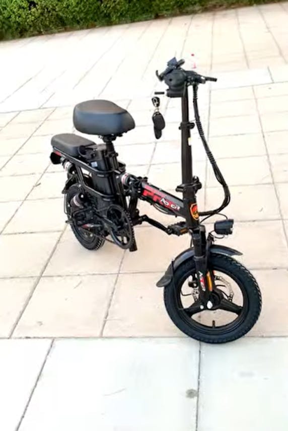 Electric Bike with Distinctive Pedals