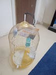 Bird with Cage image