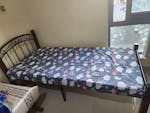 For Sale: Two Iron Beds with Mattresses image