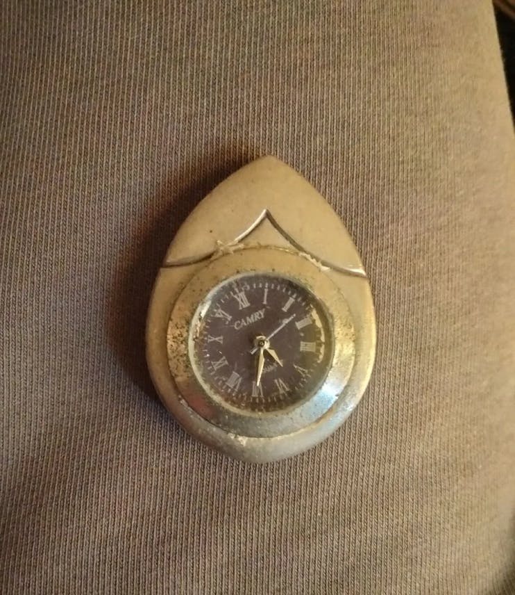 Camry watch, the buyer will evaluate its price